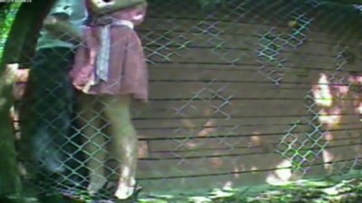 Домашнее, Скрытая камера, На улице,