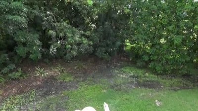 Инцест, Мамки, Кунилингус, Блондинки, С сыном, С матерью, На диване, Кончил на лицо, Кончил внутрь, В спальне,